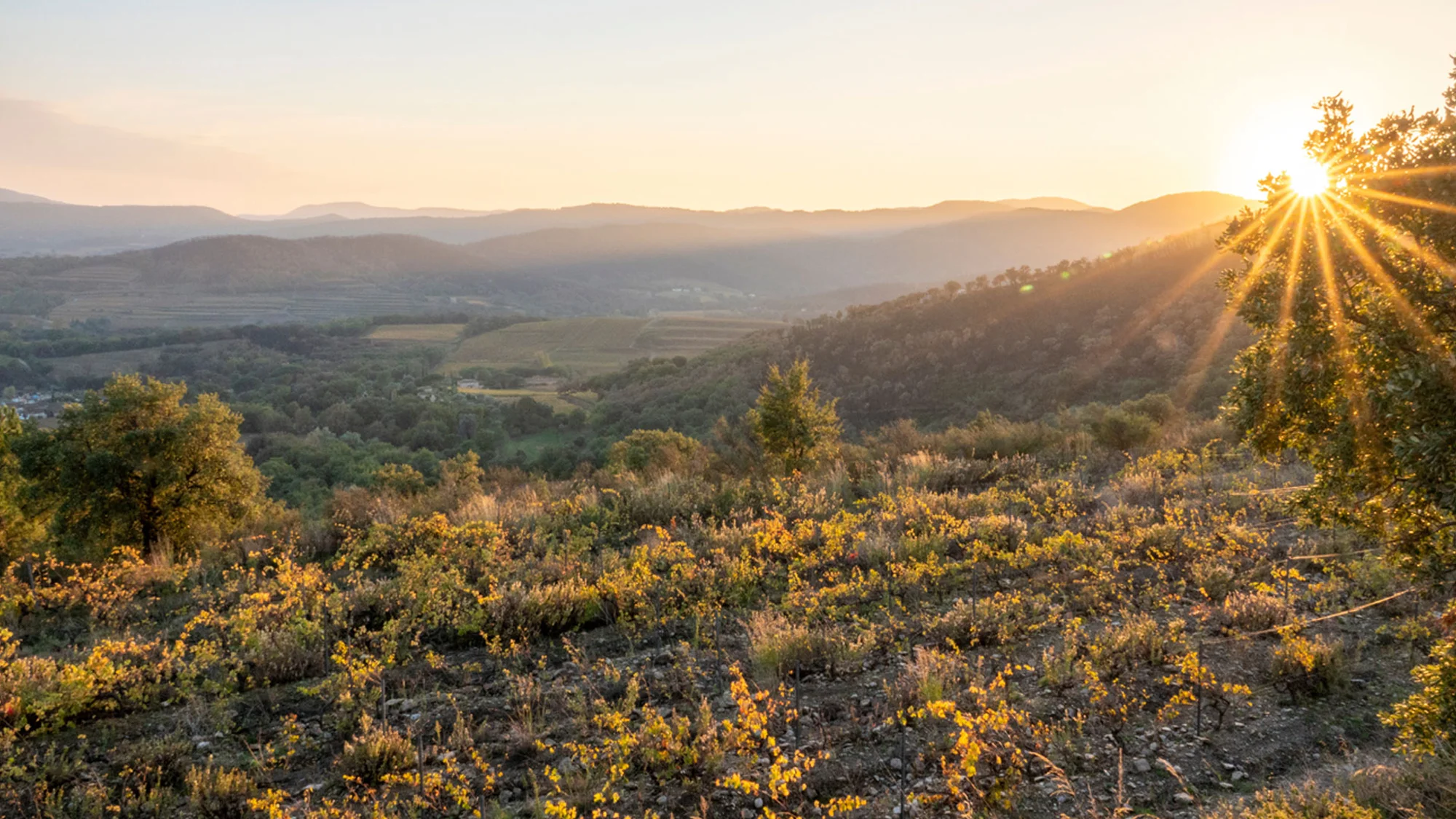 camping ginasservis dans le var