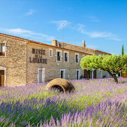 musee provence